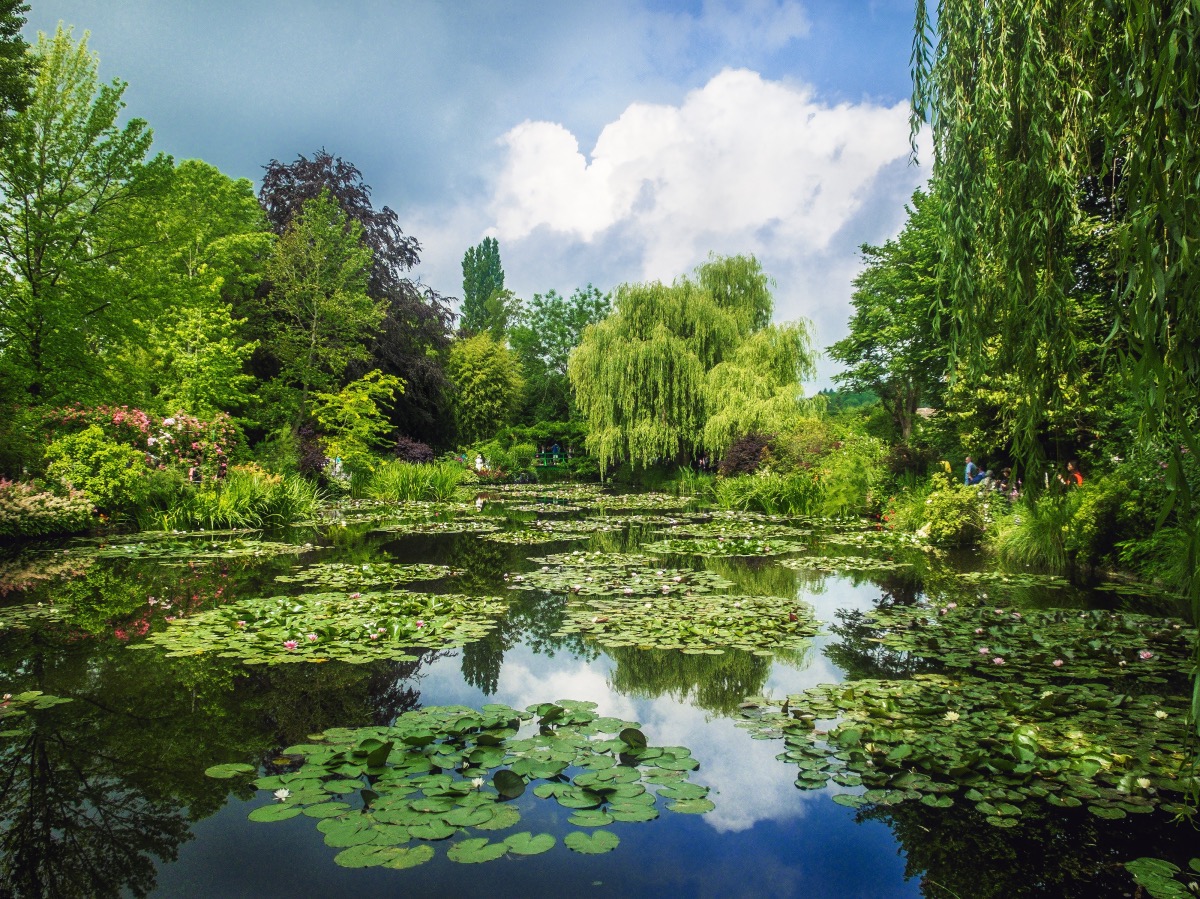 giverny | france | claude monet | monet | water lilies | art | impressionists | impressionism | bwd vacations
