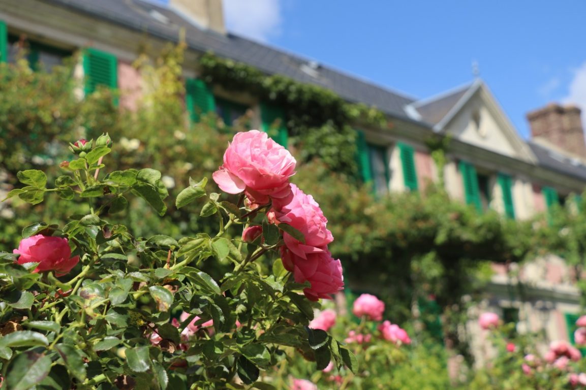claude monet house & gardens | flowers | giverny | france | water lilies | foundation claude monet | impressionist | impressionism | bwd vacations