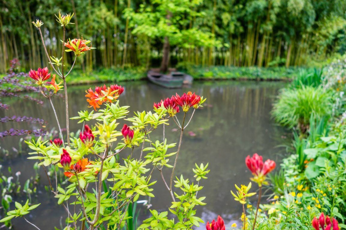 claude monet house & gardens | giverny | france | water lilies | foundation claude monet | impressionist | impressionism | bwd vacations