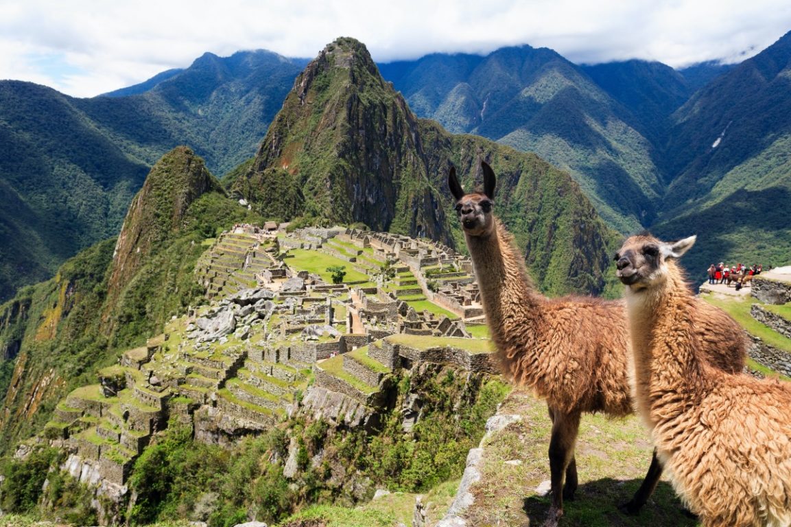 machu picchu | peru | cuzco | andes | inca trail | llamas | bwd vacations