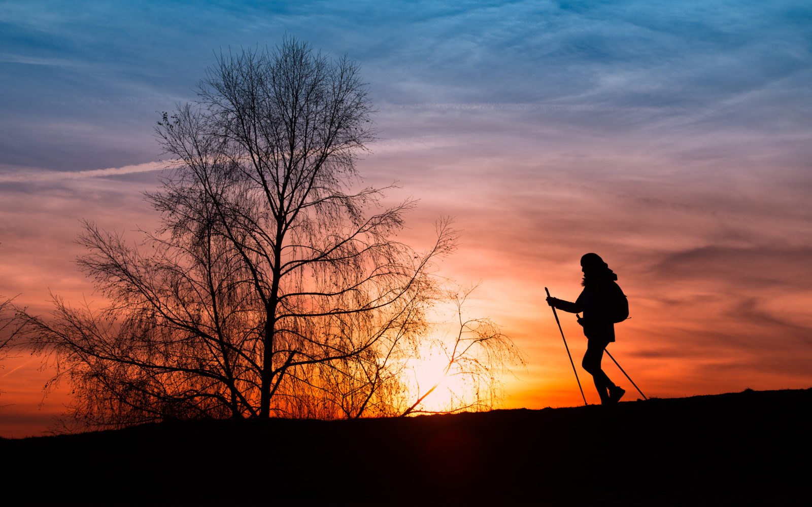 El Camino de Santiago